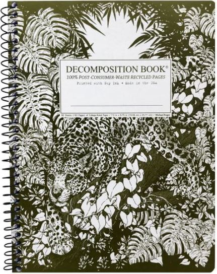 JAGUAR COIL DECOMPOSITION BK