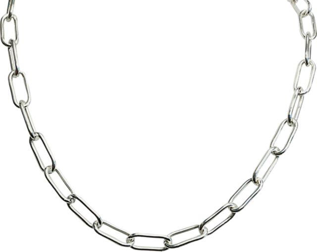 NK LINK PAPERCLIP STAT CH SIL